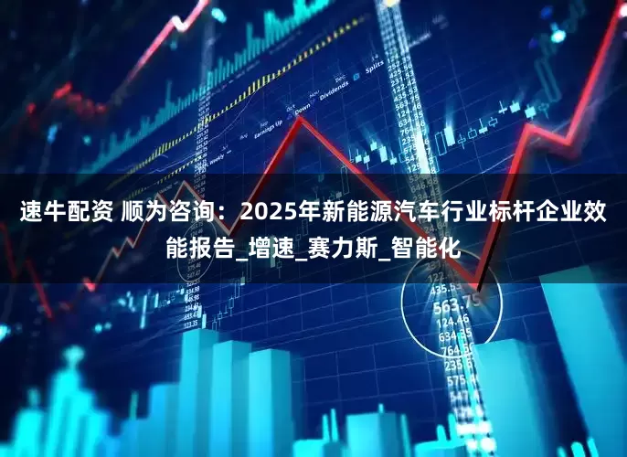 速牛配资 顺为咨询：2025年新能源汽车行业标杆企业效能报告_增速_赛力斯_智能化