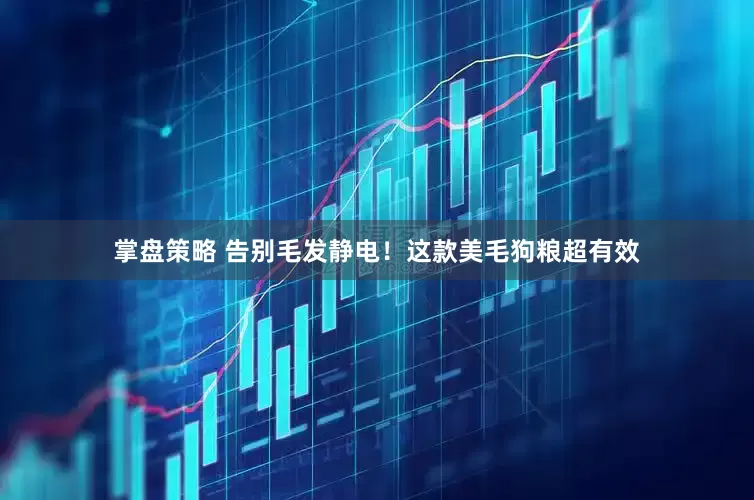 掌盘策略 告别毛发静电！这款美毛狗粮超有效