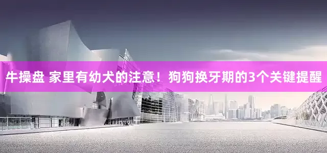 牛操盘 家里有幼犬的注意！狗狗换牙期的3个关键提醒
